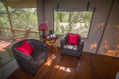 Lion Tree Top Lodge Hoedspruit Exterior photo