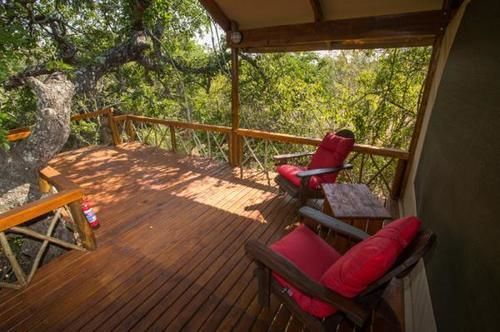 Lion Tree Top Lodge Hoedspruit Exterior photo