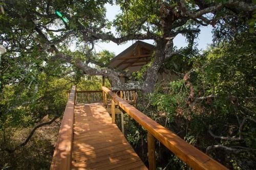 Lion Tree Top Lodge Hoedspruit Exterior photo